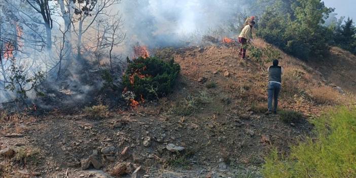 Bingöl'de ormanlık alanda çıkan yangın söndürüldü