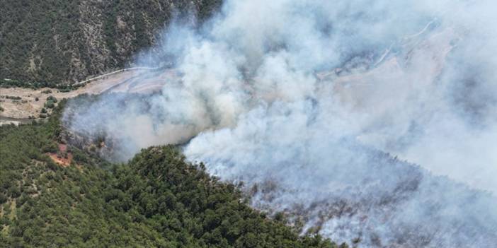 Karabük'te çıkan orman yangını kontrol altına alındı