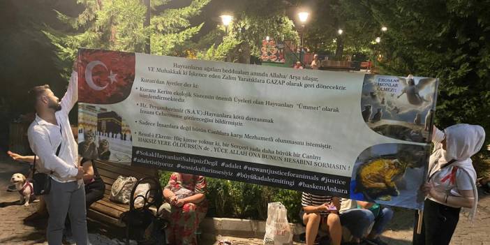 Meclis'te Komisyon çalışmaları sürerken, Kuğulu Park'ta protesto: 'Çek, çek, yasayı çek'