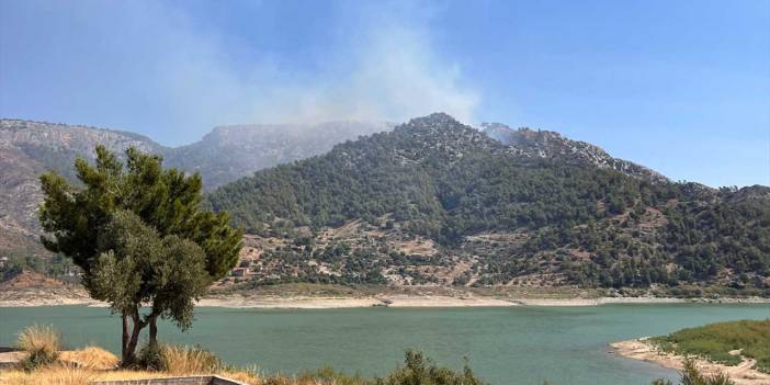 Muğla'nın Milas ilçesindeki orman yangını söndürüldü