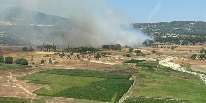 Muğla'nın Milas ilçesinde ikinci orman yangını çıktı