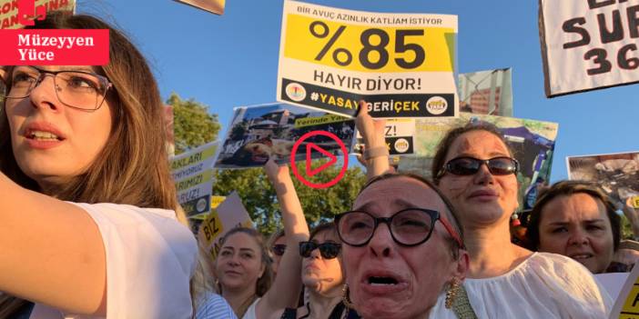 Hayvan hakları savunucuları İstanbul’da ‘büyük eylem’ düzenledi: Hayvanları vermeyeceğiz