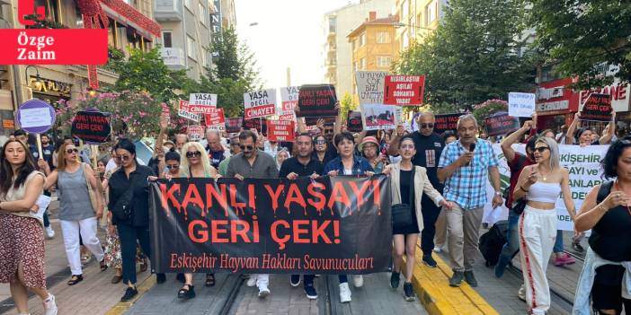 Yüzlerce kişi sokak hayvanları için Ulus Anıtı’ndan Yediler Parka yürüdü: 'Yasayı geri çek'