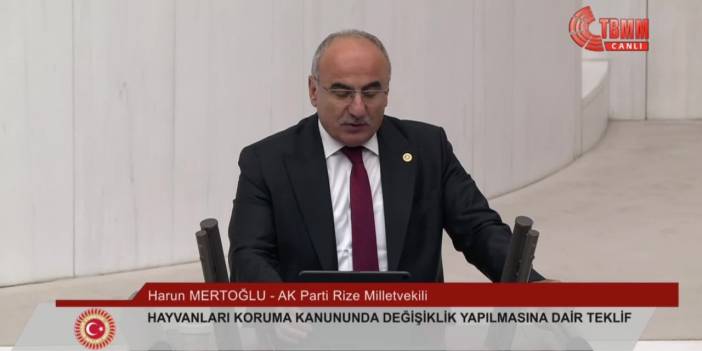 AKP Rize Milletvekili Mertoğlu: Kısırlaştırmada hayvanlardan izin alınması gerekiyor