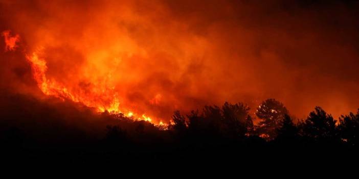 Urla’da orman yangını sürüyor: '2 bine yakın 50 yıllık, 100 yıllık zeytin ağaçları yandı'