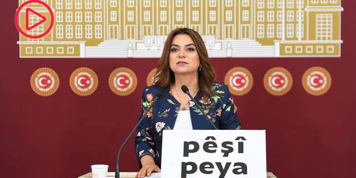 Koçyiğit 'Pêşî Peya' dövizini Meclis'e taşıdı