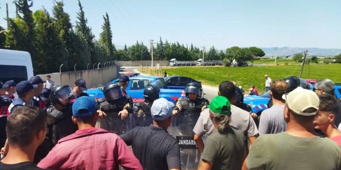 İzmir'de çiftçiler domates fiyatlarını protesto etti: 'Bizi bu hale sokan tarım bakanı utansın'