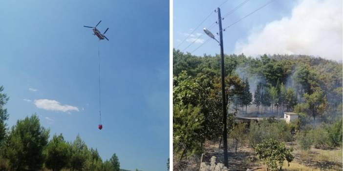 Antalya'da orman yangını