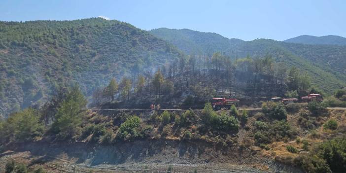 Hatay'daki orman yangını kontrol altına alındı