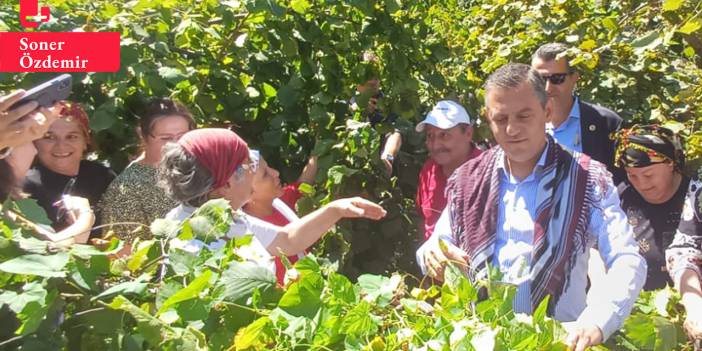 Özgür Özel'den fındık fiyatına tepki: 'Bu fiyat fındık üreticilerine ihanettir'