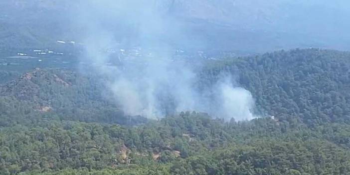 Muğla'da orman yangını: 2 hektarlık alan zarar gördü