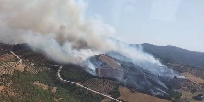 Manisa'da çıkan orman yangını kontrol altına alındı