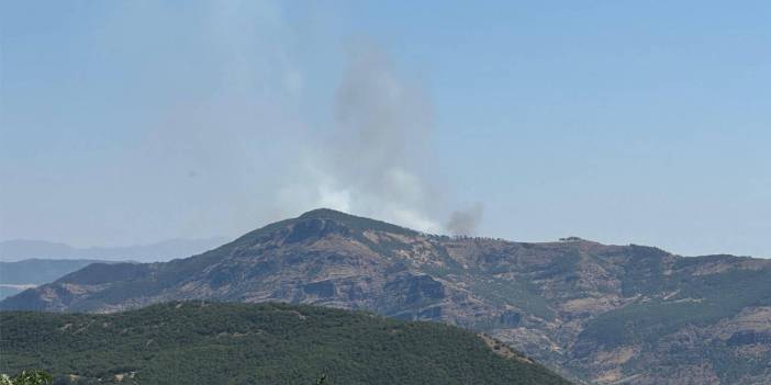 Dersim'de meşe ağaçlarının bulunduğu bölgede yangın