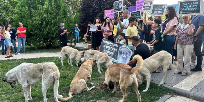 Dersim'de 'katliam yasası'na karşı açıklamaya köpekler de katıldı: 'Dokuz belediye de yasayı uygulamayacak'