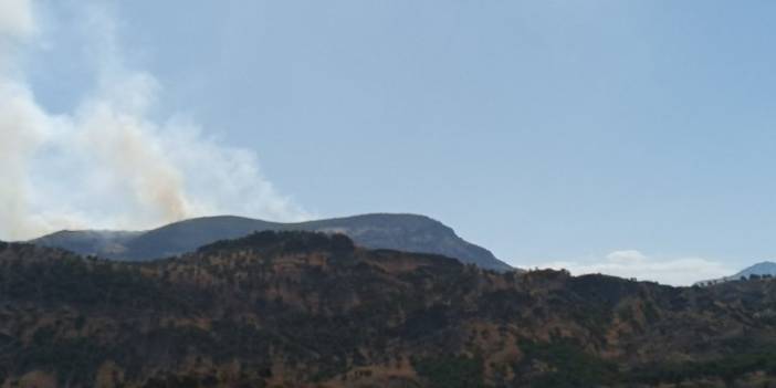 Dersim'de orman yangını