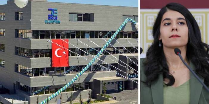 Çiftçiye 400 bin TL ‘kötü niyet’ tazminatı... DEM Partili Güneş: DEDAŞ'ın uyguladığı zulmün çok açık bir örneği