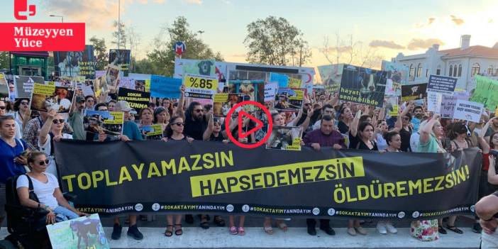 Yaşam hakkı savunucuları 29 Eylül’de miting yapacak: ‘Bu sese kulak verseniz iyi edersiniz’