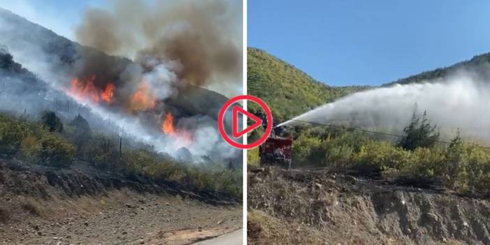 Tokat'ta orman yangını: 8 hektar alan küle döndü