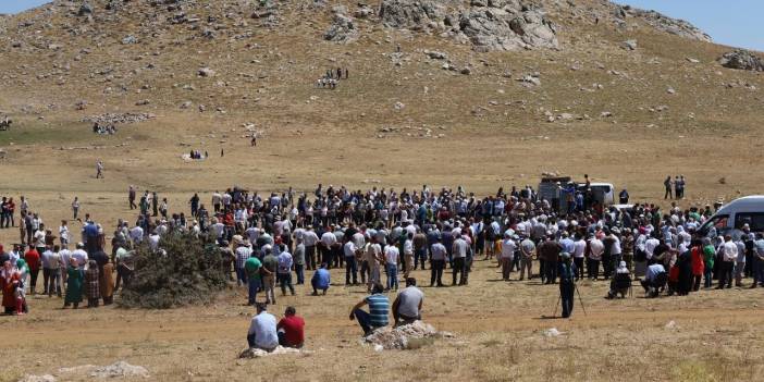 Avukatlardan Hasandin'e göz diken şirkete: Hayal kurmayın