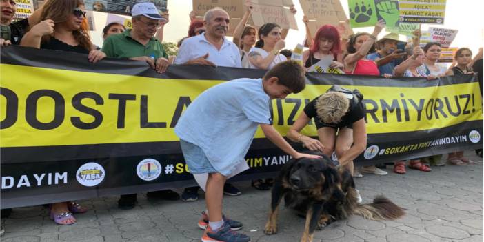 Çuval içinde ölü bulunan köpekler hakkında Uzunköprü Belediyesi'nden açıklama