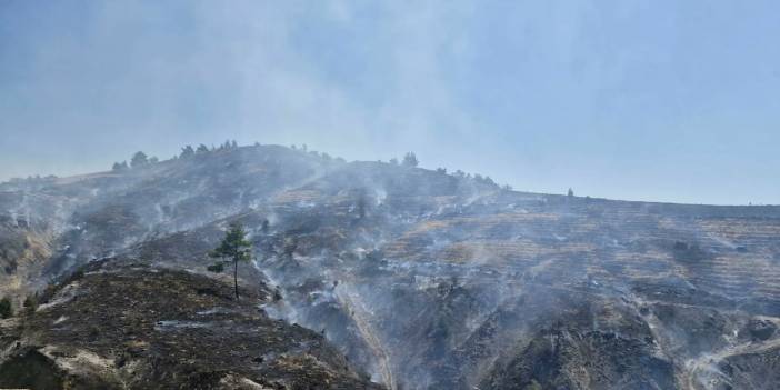 Manisa'da orman yangını: İki mahalle tahliye edildi