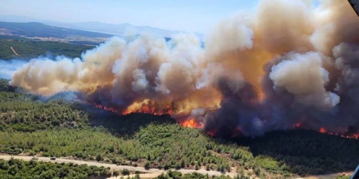 Bolu, Manisa ve İzmir'de orman yangınları