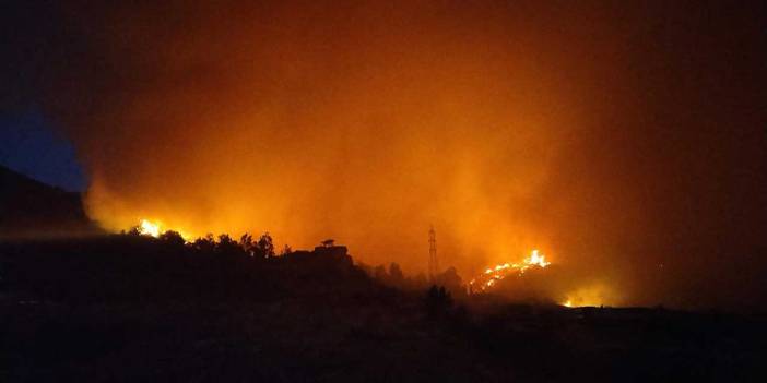 İzmir'deki orman yangınında son durum: 78 kişi etkilendi, 900 kişi tahliye edildi