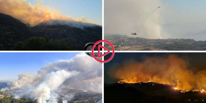 Aydın, Manisa ve Bolu'da orman yangınları