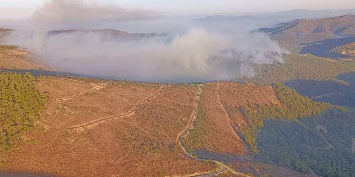 Manisa'daki orman yangınında beşinci gün