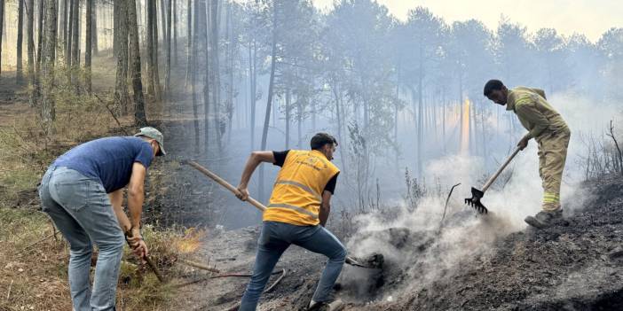 Yatağan ve Ula'da çıkan orman yangınlarına müdahale sürüyor