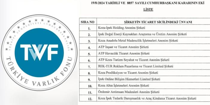 12 şirketin hisseleri Varlık Fonu'na aktarıldı