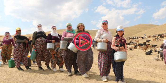 Hakkari'de berivanların halayı: Yorgun olsak bile halaylarımızı çektikten sonra yayladan dönüyoruz