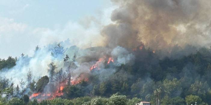 Antalya'nın Aksu ilçesinde orman yangını çıktı