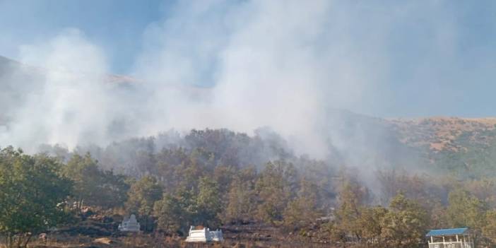 Dersim'de orman yangını