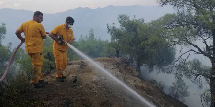 Maraş'ta orman yangını: Müdahale ediliyor