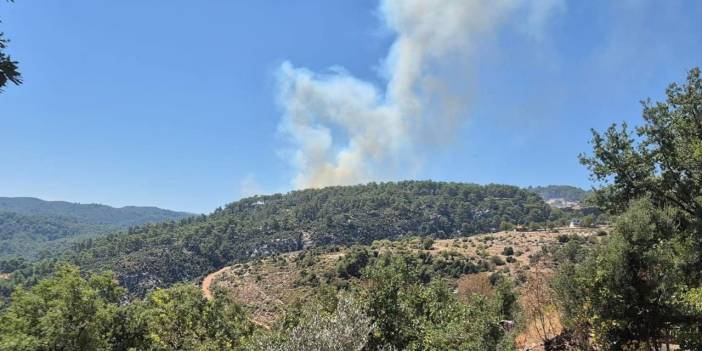 Antalya'nın Kaş ilçesinde orman yangını çıktı