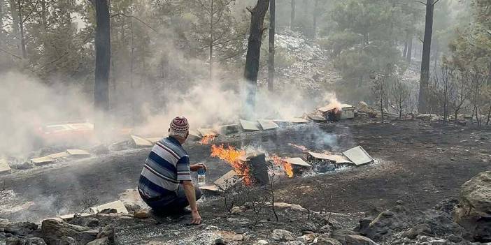 Muğla'daki orman yangınında 200 hektar alan zarar gördü