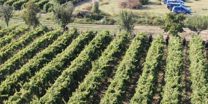 Manisa’da bağ evindeki cinayette iki tutuklama