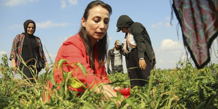 Hatimoğulları: İnsanlar evlerine ekmek götüremiyor