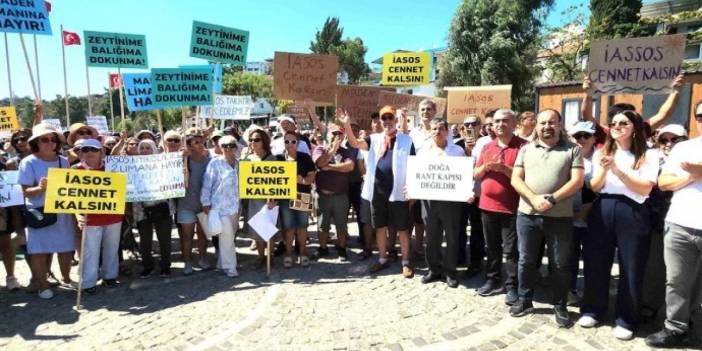 Antik Kent İasos'ta planlanan liman projesine tepki: 'Ne tarih, ne balık ne zeytin kalacak'