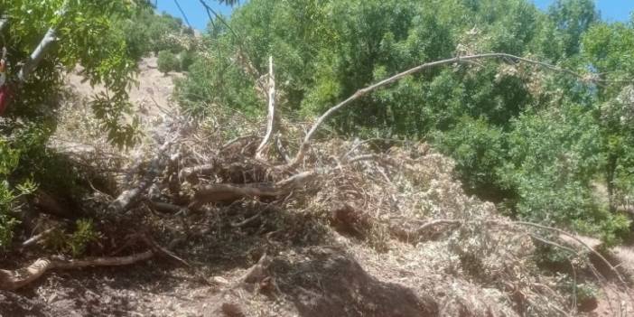 Liceliler bakır madenine karşı eyleme hazırlanıyor: 'Yaşam alanlarımızda maden istemiyoruz'