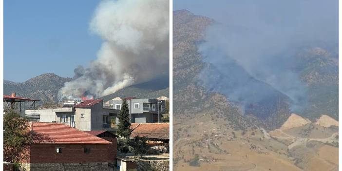 Manisa'daki orman yangını ikinci gününde