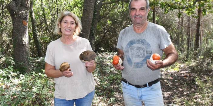 Bu yıl Istranca Ormanları'nda mantar bereketi var: Günde 7 bin lira kazandırıyor