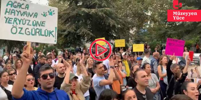 Gebze Belediyesi önünde hayvan katliamı protestosu: Belediye Başkanı'na 'istifa et' çağrısı