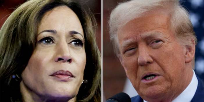 ABD'nin seçim Nostradamus'u: Kamala Harris, anketlere rağmen Donald Trump'ı yenecek