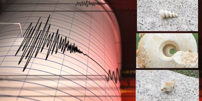 Bağcılar'da 10 milyon yıllık fosil bulundu: ‘Depreme karşı en zayıf bölgeyi gösteriyor’