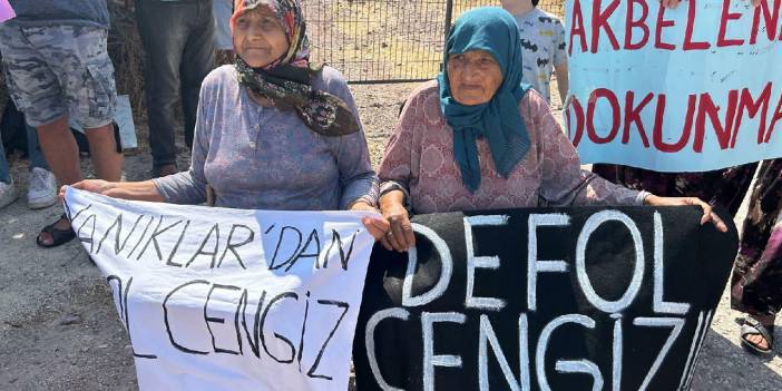 Kaz Dağları'nda Cengiz Holding'in açmak istediği maden projesi için yürütmeyi durdurma kararı çıktı