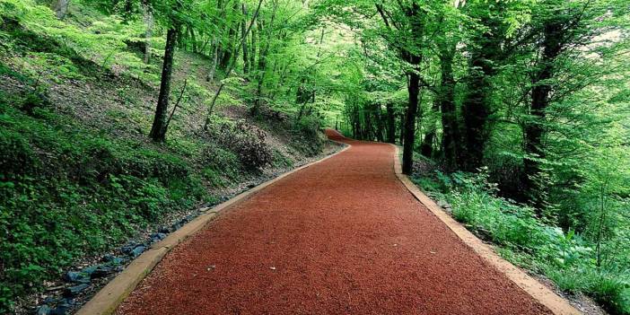 Belgrad Ormanı'nın koruma statüsü değiştirilip, imara açılıyor