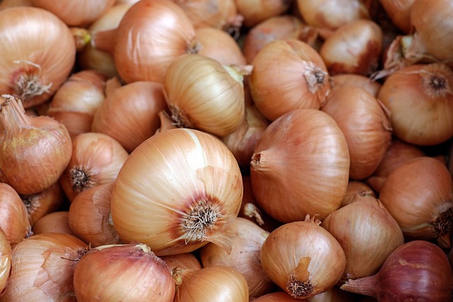 onions-1397037-640.jpg